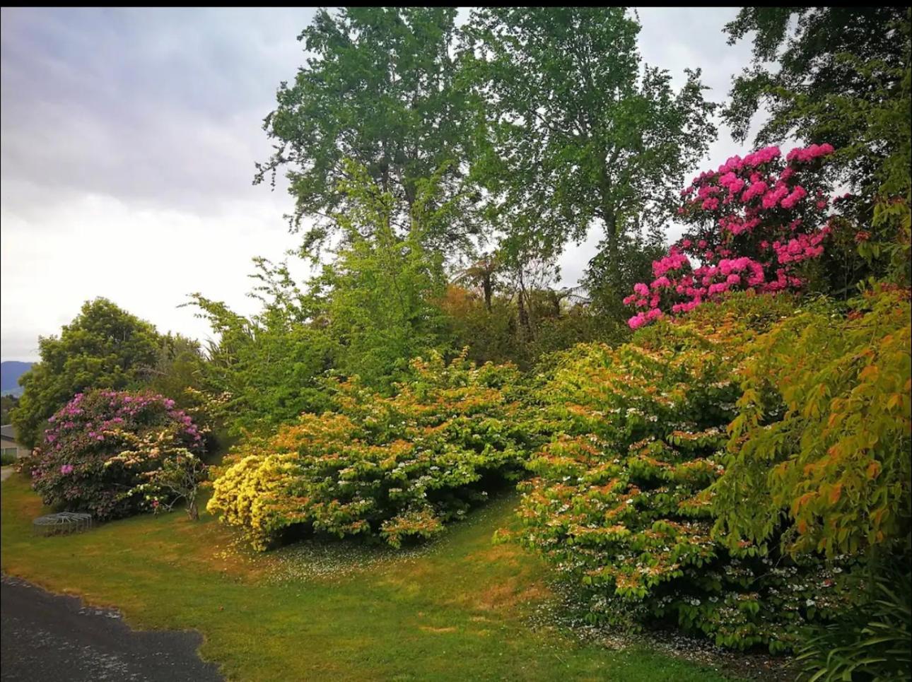 Acacia Bay Lodge Taupo Eksteriør bilde