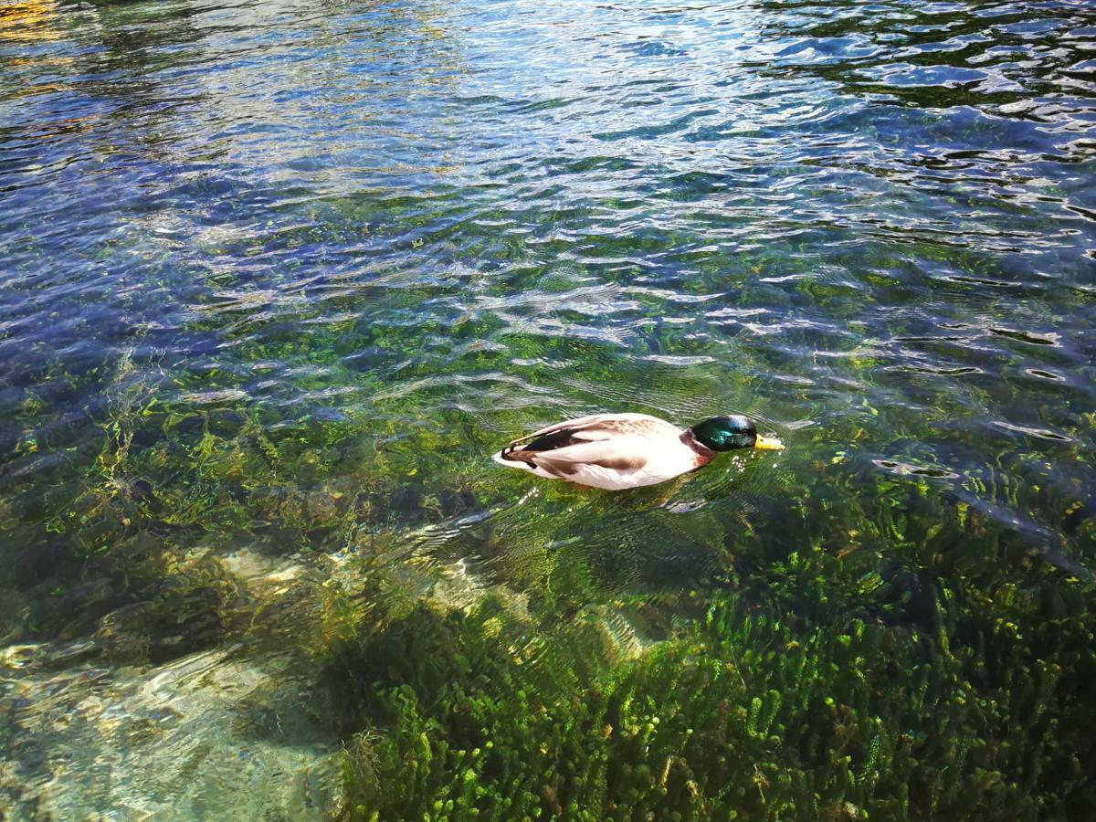 Acacia Bay Lodge Taupo Eksteriør bilde