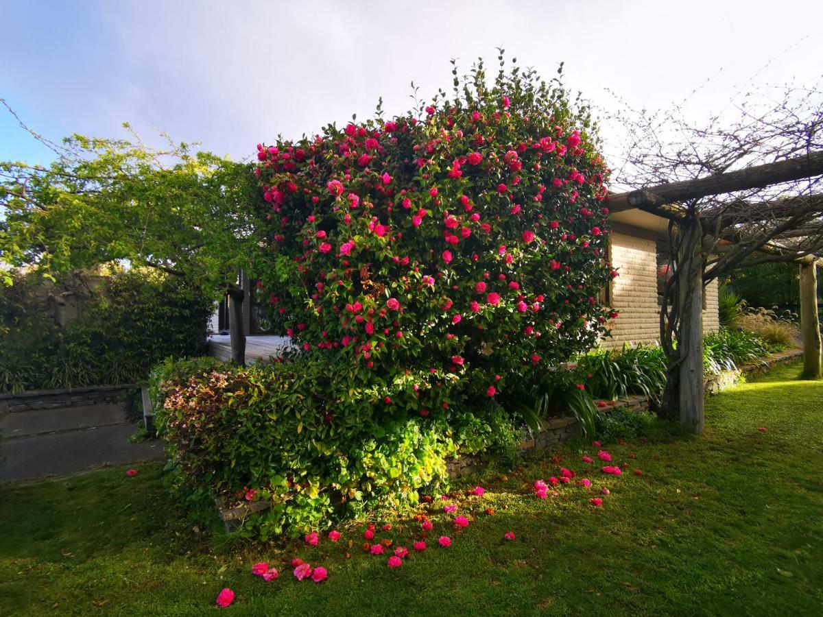 Acacia Bay Lodge Taupo Eksteriør bilde